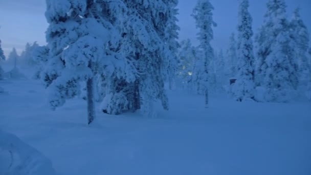 Panoramic Snow Capped Woodland Landscape Lapland Finland Dusk — Stock video