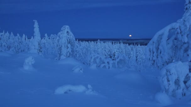 Panoramic Snow Capped Forest Landscape Lapland Finland Night — Video Stock