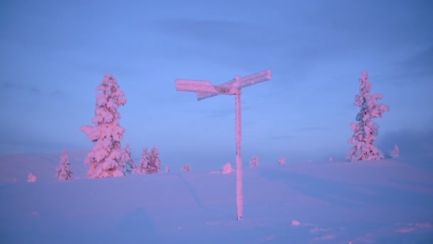 Post Signage Trees Lapland Region Fully Covered Snow Evening Wide — Vídeo de stock