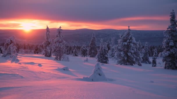 Panoramic Snowy Wilderness Landscape Lapland Finland Bright Orange Sunset — Video