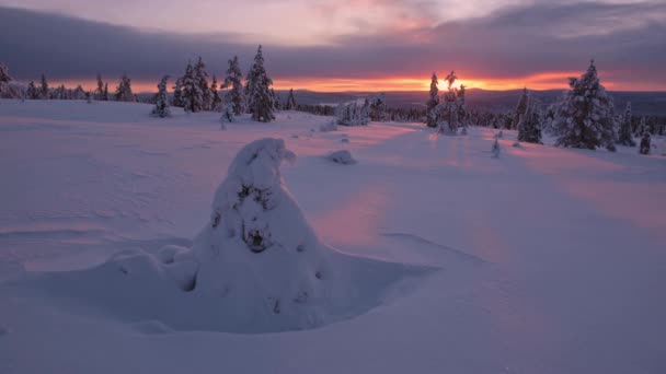 Beautiful Purple Sunset Sky Snow White Landscape Lapland Finland Wide — Vídeo de Stock