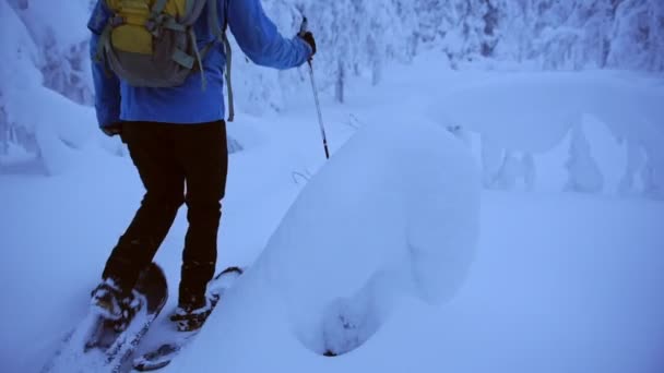 Man Hiking Snow Shoes Frozen Forest Lapland Finland — Stok video
