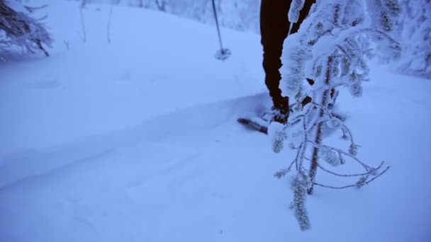 Man Walking Snow Shoes Frozen Woodland Lapland Finland Moody Day — Vídeo de stock