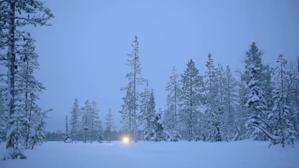 Woondland Landscape View Snowmobile Speeding Snow Dusk Lapland Finland — Vídeo de stock
