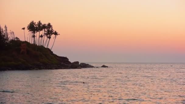 Silhouette Tall Palm Trees Rocky Shore Goa India Person Swimming — Vídeo de stock