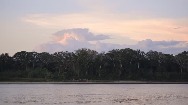 Amazon River Flowing Peruvian Rainforest Sunset — Video Stock