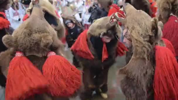 Romania Bear Festival Dance Ritual Connects Romania Close Shot — ストック動画