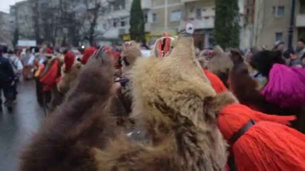 Romanian Rituals Performed Participants Bears Masks Parade Close Shot — Wideo stockowe