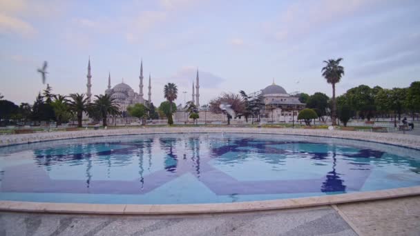 Landscape View Blue Mosque Birds Flying Istanbul Turkey Dusk — Vídeo de Stock