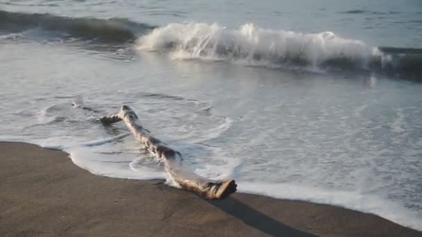 Wood Log Moving Because Oean Waves Crashing Sandy Coastline — Stock videók