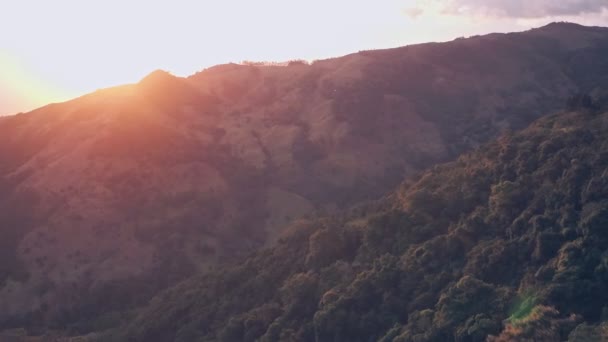 Rainforest Scenery Sunrise Monteverde Cloud Forest Costa Rica Aerial Drone — Αρχείο Βίντεο