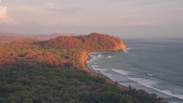 Playa Buena Vista Beach Rainforest Sunset Guanacaste Province Costa Rica — ストック動画