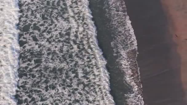 Waves Breaking Playa Buena Vista Beach Guanacaste Province Costa Rica — Wideo stockowe