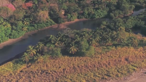 Playa Buena Vista Beach Rainforest Landscape Guanacaste Costa Rica Aerial — стокове відео