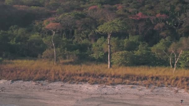 White Sandy Beach Nosara Guanacaste Costa Rica Aerial Drone View — ストック動画