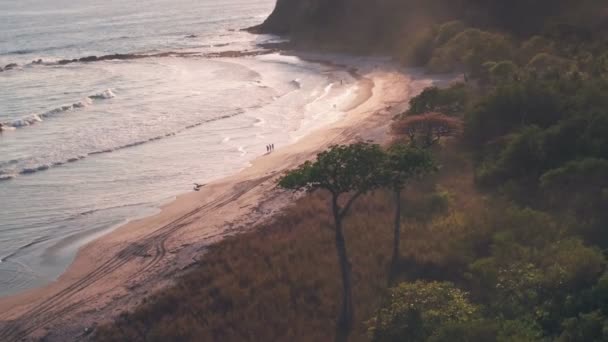 White Sandy Beach Nosara Guanacaste Province Costa Rica Aerial Drone — Wideo stockowe