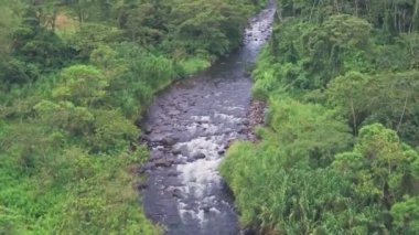 River through tropical rainforest at Arenal Volcano National Park, Costa Rica. Aerial drone view