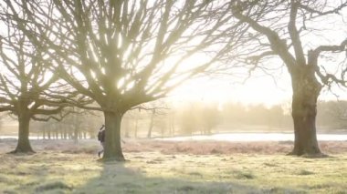 A Man In A Beanie Hat Walking Around The Forest Full Of Bare Trees In The Fall In London -wide shot