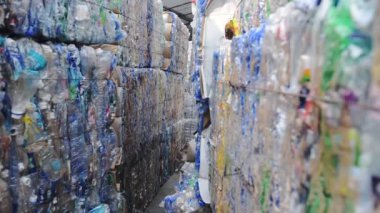 Waste recycle plant with plastic Water Bottles to help climate change and environmental energency, Hongkong. -medium shot