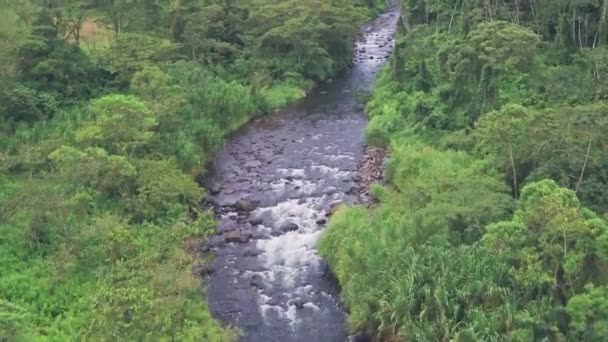 River Tropical Rainforest Arenal Volcano National Park Costa Rica Aerial — Stock videók