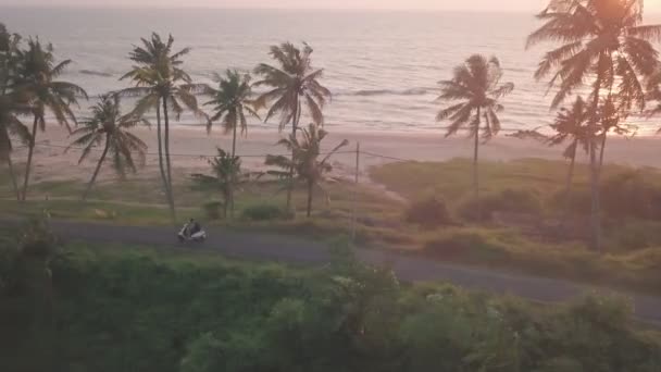 Single Vehicle Road Coastline Varkala Beach State Kerala India Aerial — стоковое видео