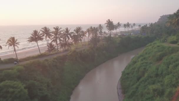 Rows Palm Trees Coast Varkala Beach India Aerial Shot — стоковое видео