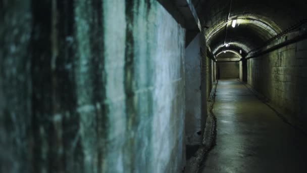 Abandoned Underground Mysterious Tunnel View Neon Lights — Stock videók