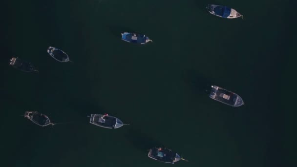 Fishing Boats Fort Grey Guernsey Channel Islands Aerial Drone View — 비디오