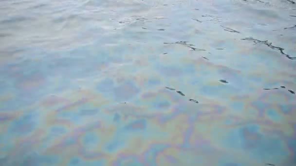 Closer Look Environmental Effect Oil Spill Sea Water Hong Kong — Stock video