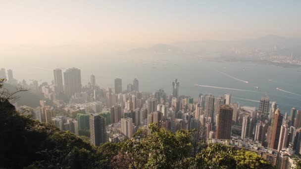 Beautiful View Victoria Peak Peaceful City Hong Kong Kowloon Bay — 图库视频影像