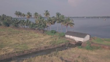 Kerala backwaters scenery of palm trees, fields and lake in India. Aerial drone view