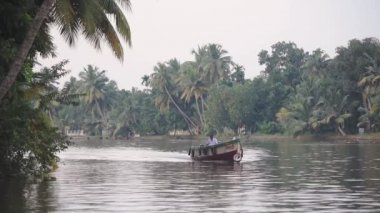 Local man on a traditional boat on a river flowing near palm trees, Kerala Backwaters, India