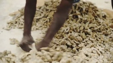 Ginger Market in Fort Kochi, Kerala. India street scene - Closeup Shot