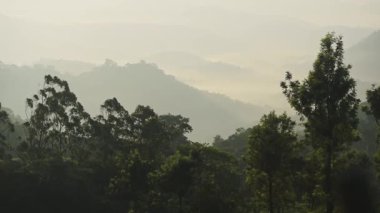 Landscape view of mountains and hills on a misty morning, Munnar, India
