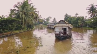 Houseboats floating on a muddy river surrounded by palm trees, Kerala Backwaters, India