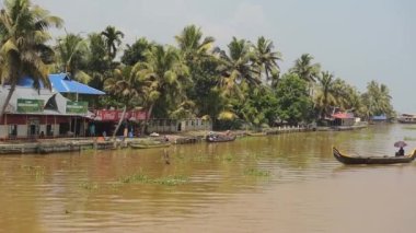 Local man on a traditional boat on a river flowing near palm trees, Kerala, India