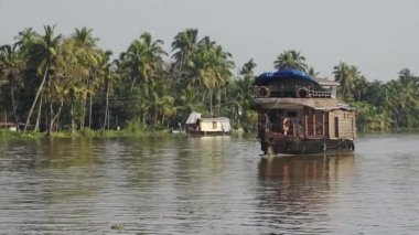 Houseboats floating on a river surrounded by palm trees, Kerala Backwaters, India