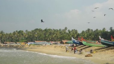 Boats lined Up In The Shore Of Kappil Beach With Birds Flying In The Air Located In Varkala Taluk, Kerala State, India. -wide shot