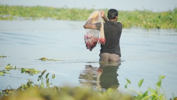 Local Man Fishing Traditional Chinese Nets Fort Kochi India — Vídeo de Stock