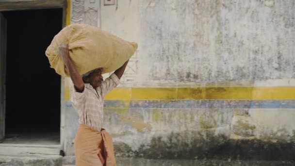 Person Working Ginger Market Fort Kochi Kerala India Street Scene — Αρχείο Βίντεο