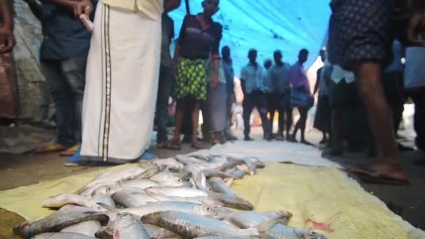 Fish Sale Fish Market Kochi India — 图库视频影像