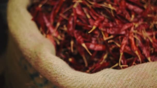 Red Dried Chillies Sack Kochi Kerala India Closeup Shot — Stock videók