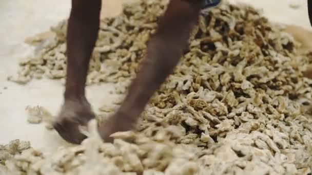 Ginger Market Fort Kochi Kerala India Street Scene Closeup Shot — Stockvideo