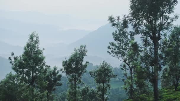 Landscape View Mountains Trees Moody Foggy Day Munnar India — Stockvideo
