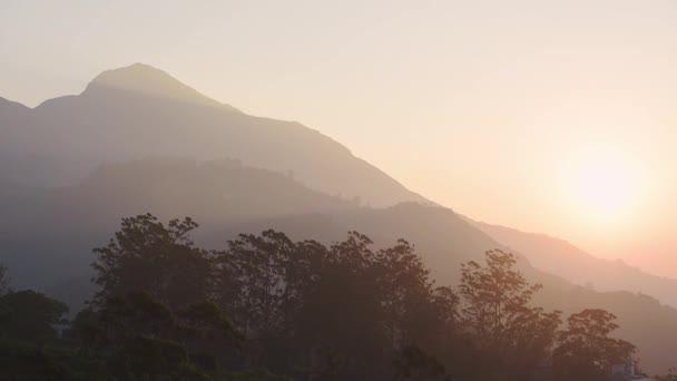 Landscape View Mountains Hills Misty Morning Munnar India — стокове відео