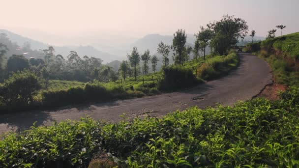 Landscape View Vehicle Country Road Tea Plantations Munnar India Dusk — Vídeo de Stock