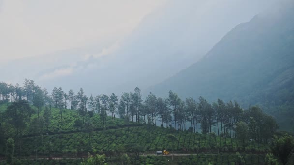 Landscape Mountain View Tea Plantations Munnar India Foggy Morning — Vídeo de Stock