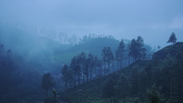 Landscape Mountain View Tea Plantations Munnar Kerala India Moody Rainy — 图库视频影像