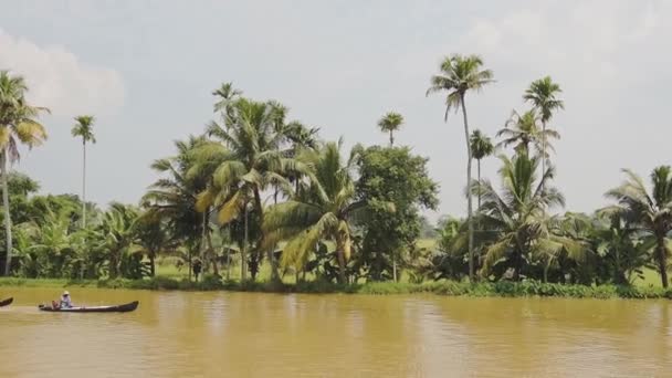 Local Men Traditional Boats River Flowing Palm Trees Kerala Backwaters — Αρχείο Βίντεο