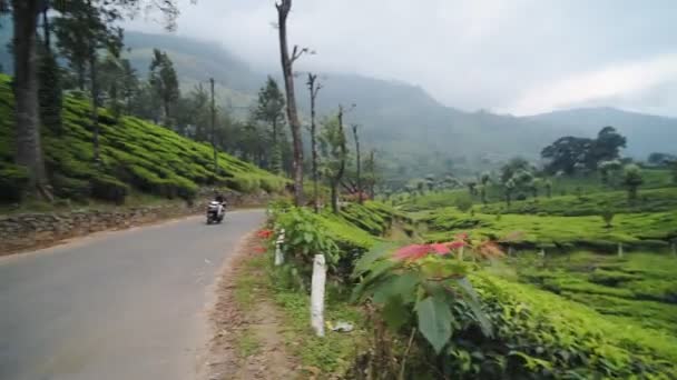 Roadtrip Adventure India Scooters Western Ghats Mountain Range Munnar Wide — Video Stock